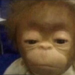 Meet your Posher, Lydia